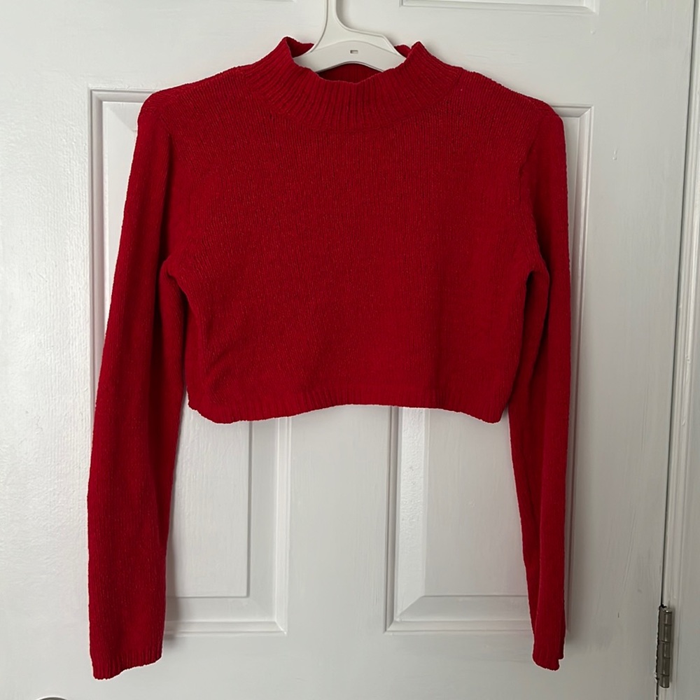 Red winter top sweater